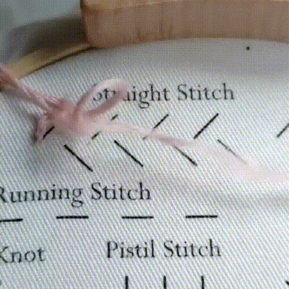 Embroidery Stitches Practice Kit (3 pcs)